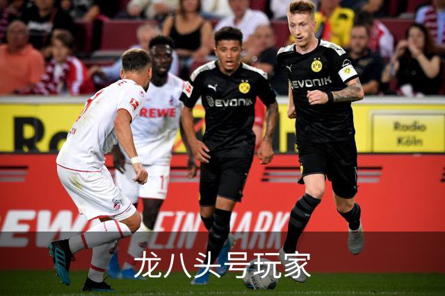 龙八头号玩家企业简介